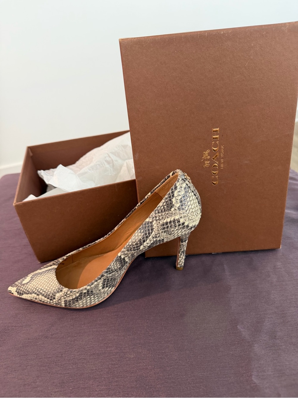 Coach Snake-Print Pointed Toe Pump in Neutral Tones